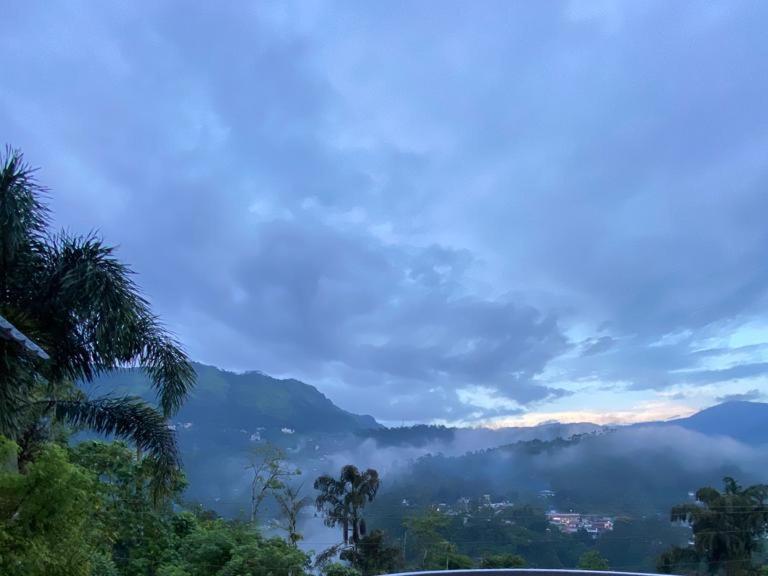 Bed and breakfast Munnar Blue Mist Extérieur photo