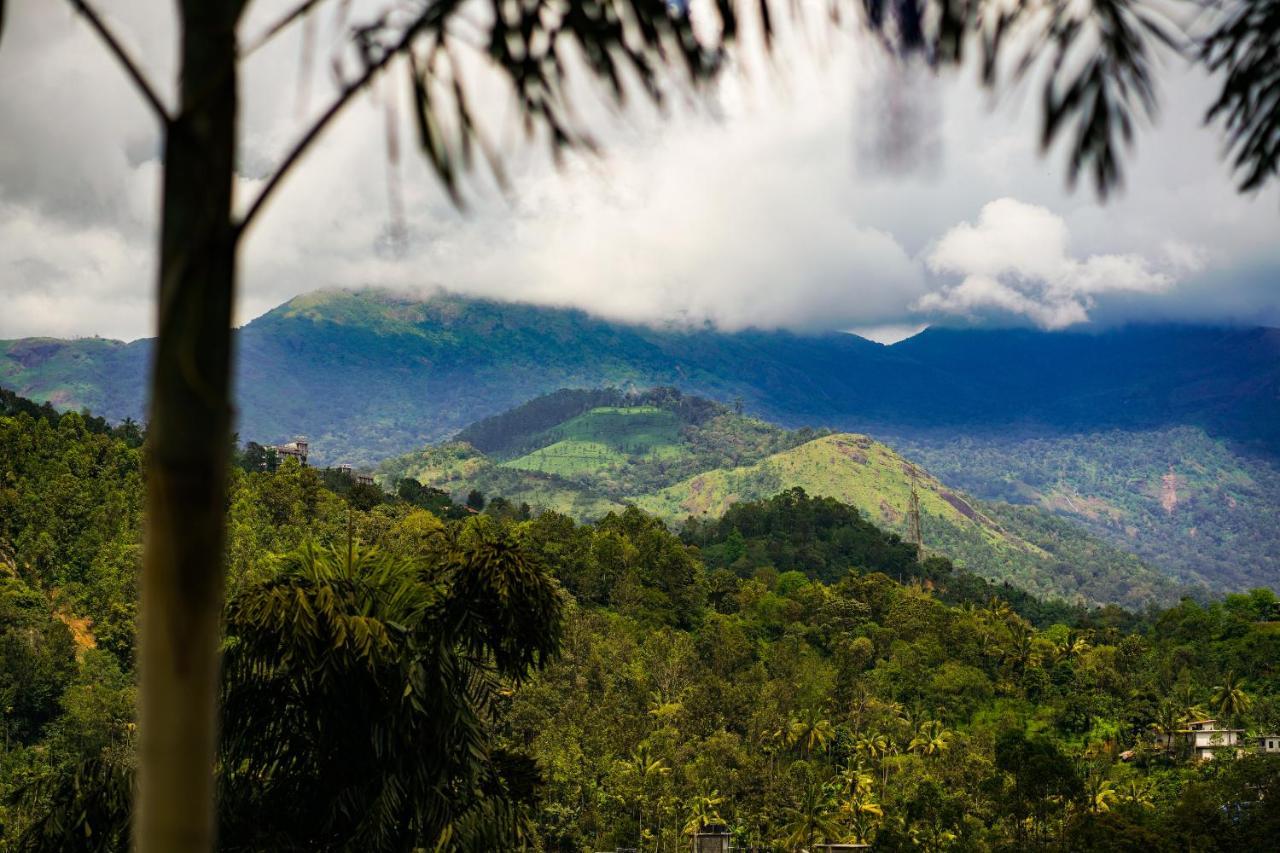 Bed and breakfast Munnar Blue Mist Extérieur photo